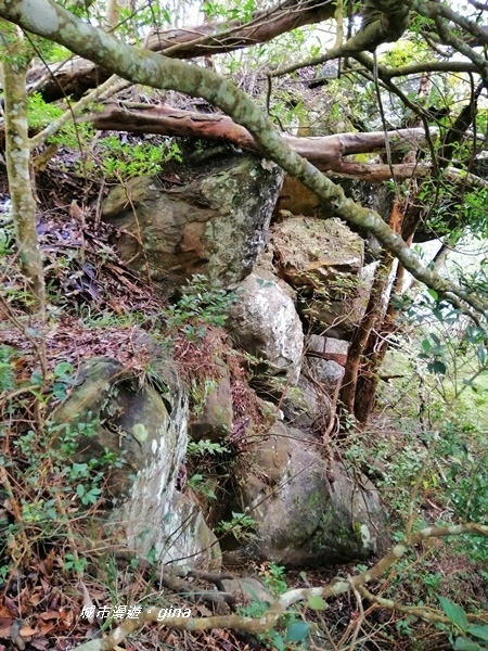 IMG_20190921_110200.jpg IMG_20190921_110200.jpg