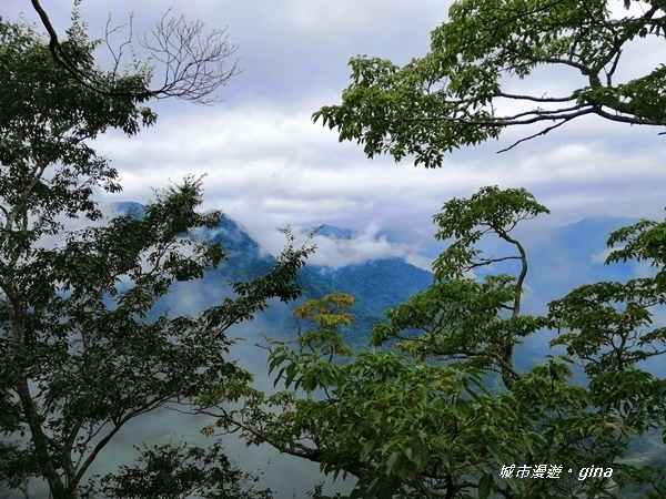 IMG_20190921_110621.jpg IMG_20190921_110621.jpg