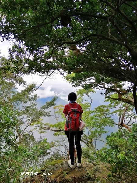 IMG_20190921_110557.jpg IMG_20190921_110557.jpg