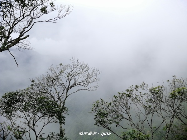 【苗栗南庄】優美山林綠意盎然。 三角湖山 x No32小百岳