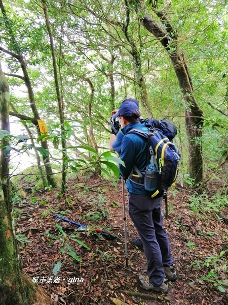 IMG_20190921_113836.jpg IMG_20190921_113836.jpg