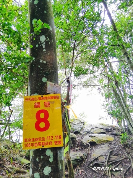 IMG_20190921_113259.jpg IMG_20190921_113259.jpg