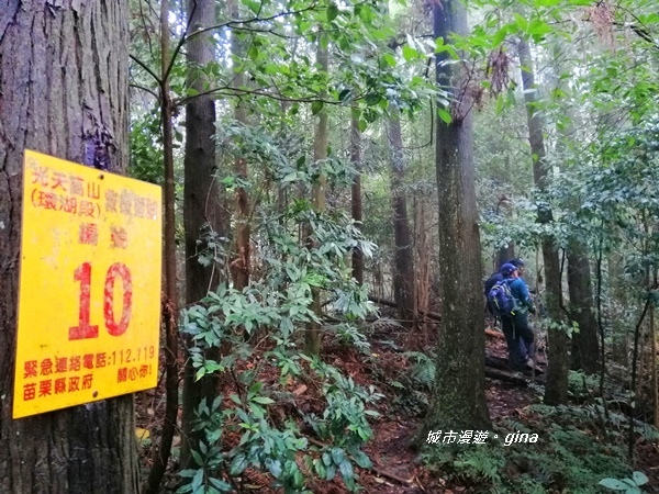 IMG_20190921_114419.jpg IMG_20190921_114419.jpg