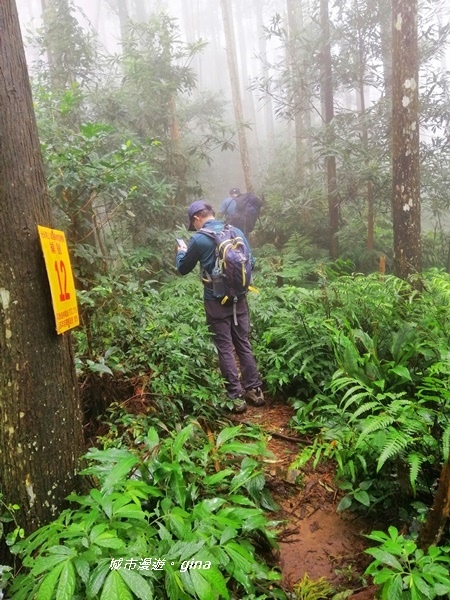 IMG_20190921_120233.jpg IMG_20190921_120233.jpg