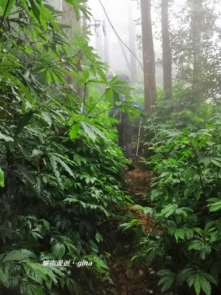 IMG_20190921_120354.jpg IMG_20190921_120354.jpg