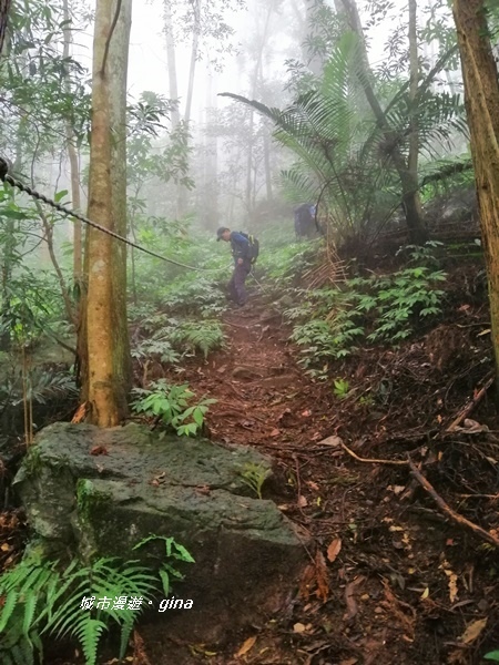 IMG_20190921_120900.jpg IMG_20190921_120900.jpg