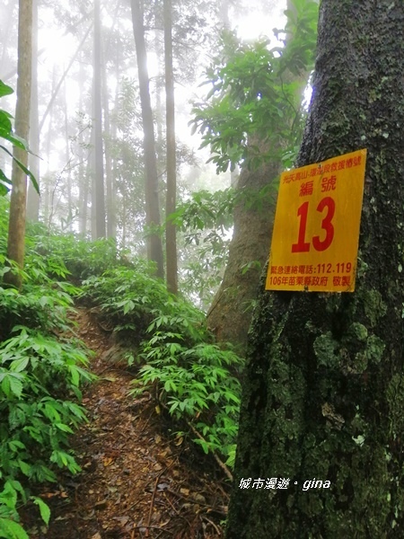 IMG_20190921_121051.jpg IMG_20190921_121051.jpg