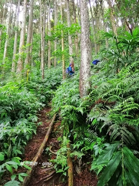 IMG_20190921_121217.jpg IMG_20190921_121217.jpg