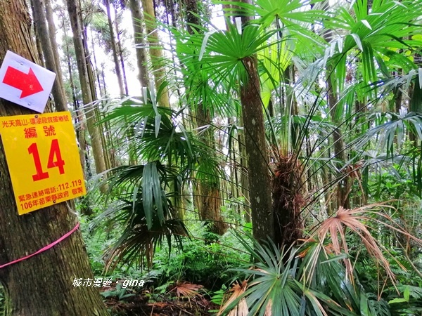 IMG_20190921_121916.jpg IMG_20190921_121916.jpg