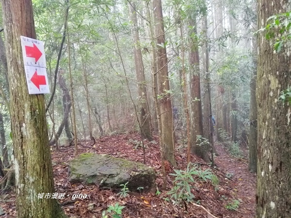 IMG_20190921_122943.jpg IMG_20190921_122943.jpg