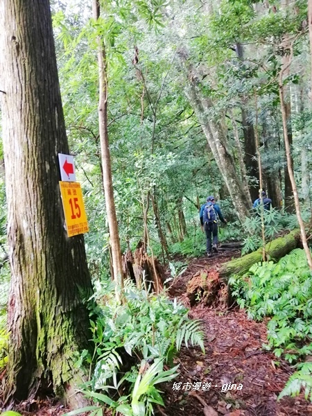 IMG_20190921_123138.jpg IMG_20190921_123138.jpg