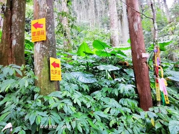 IMG_20190921_123418.jpg IMG_20190921_123418.jpg