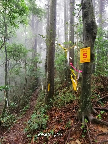 IMG_20190921_125008.jpg IMG_20190921_125008.jpg