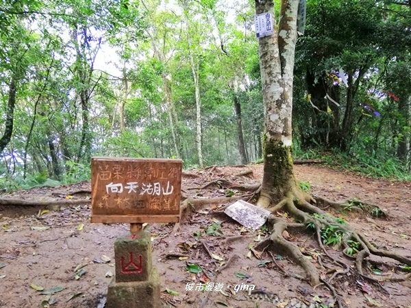 IMG_20190921_130443.jpg IMG_20190921_130443.jpg