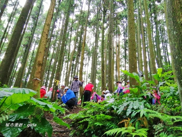 【苗栗南庄】優美山林綠意盎然。 三角湖山 x No32小百岳