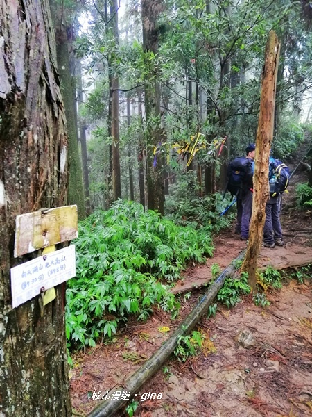 IMG_20190921_140204.jpg IMG_20190921_140204.jpg