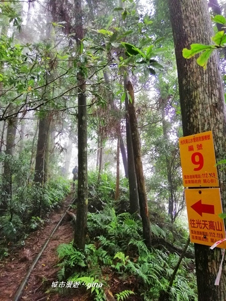 IMG_20190921_140223.jpg IMG_20190921_140223.jpg