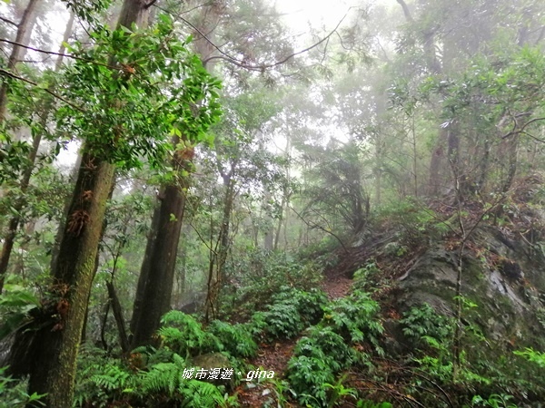 IMG_20190921_140424.jpg IMG_20190921_140424.jpg