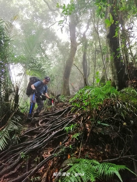 【苗栗南庄】優美山林綠意盎然。 三角湖山 x No32小百岳