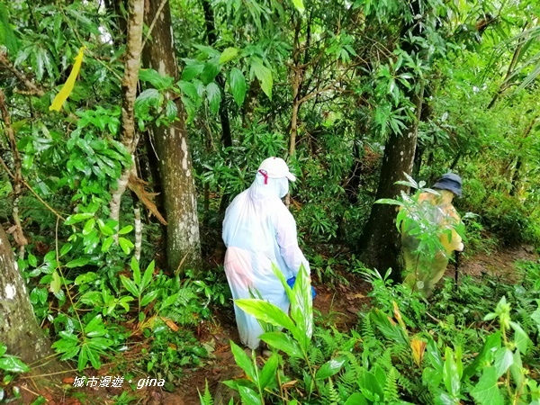 IMG_20190921_154335.jpg IMG_20190921_154335.jpg