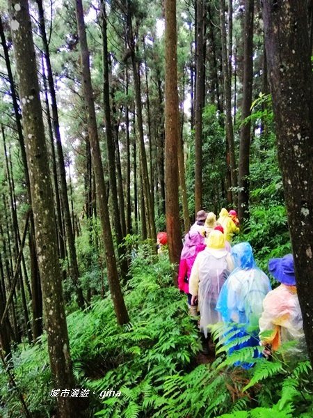 IMG_20190921_144808.jpg IMG_20190921_144808.jpg