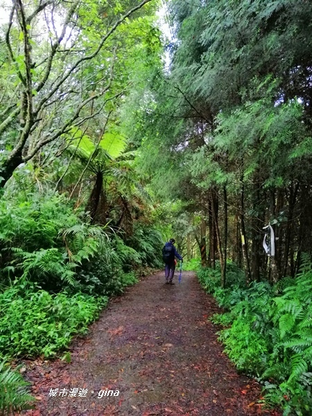 IMG_20190921_162431.jpg IMG_20190921_162431.jpg