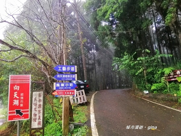 【苗栗南庄】優美山林綠意盎然。 三角湖山 x No32小百岳