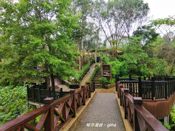 IMG_20190921_164139.jpg IMG_20190921_164139.jpg