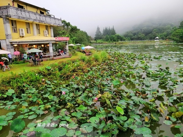 IMG_20190921_164147.jpg IMG_20190921_164147.jpg