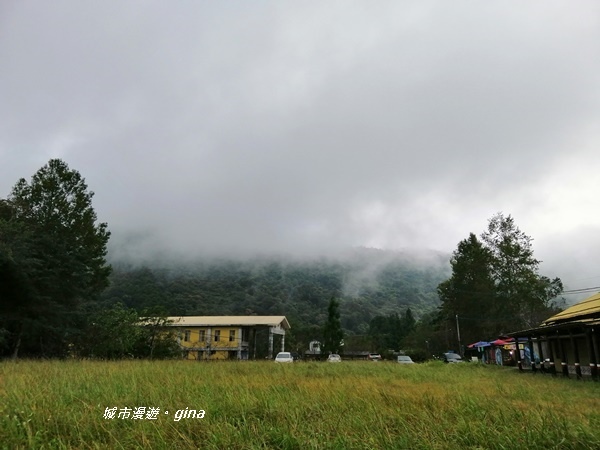 IMG_20190921_170049.jpg IMG_20190921_170049.jpg