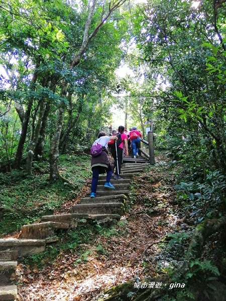 【桃園復興】走入山林森呼吸。 No22小百岳~東眼山 121