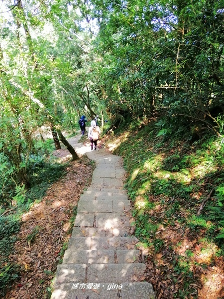 【桃園復興】走入山林森呼吸。 No22小百岳~東眼山 121