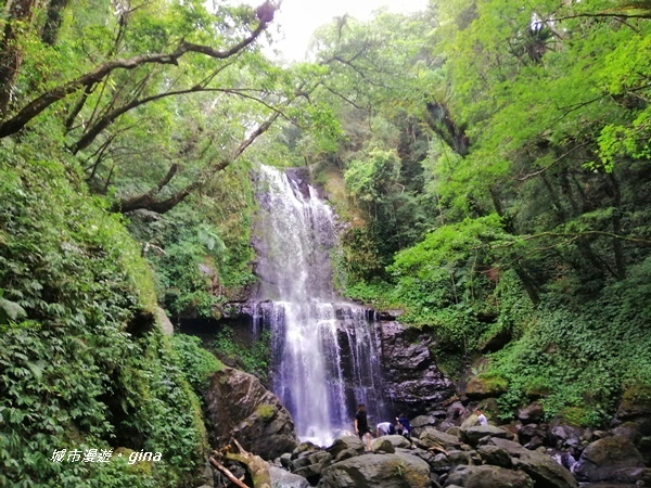 IMG_20191012_143100.jpg IMG_20191012_143100.jpg