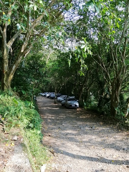 IMG_20191012_143358.jpg IMG_20191012_143358.jpg