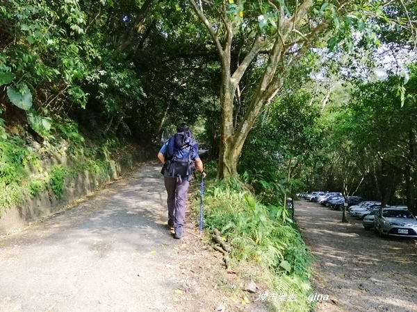 IMG_20191012_143359.jpg IMG_20191012_143359.jpg