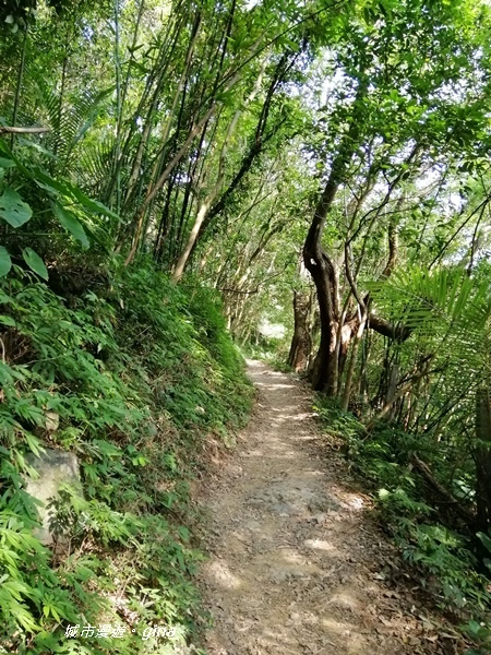 IMG_20191012_144232.jpg IMG_20191012_144232.jpg