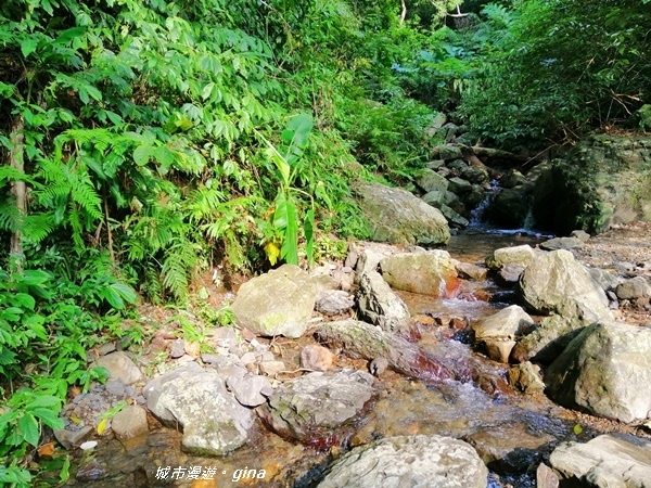 IMG_20191012_145816.jpg IMG_20191012_145816.jpg