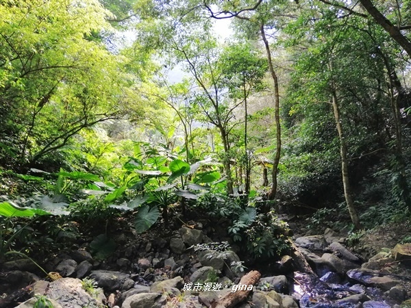 IMG_20191012_145756.jpg IMG_20191012_145756.jpg