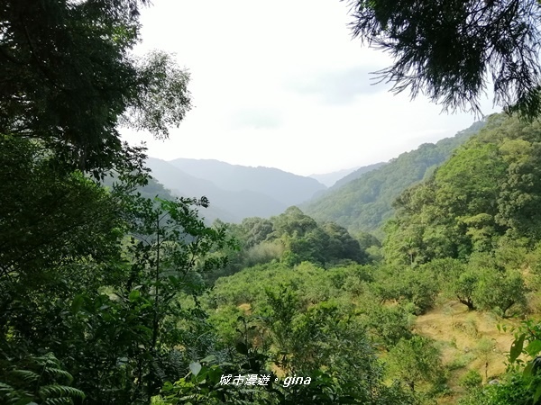 IMG_20191012_150250.jpg IMG_20191012_150250.jpg