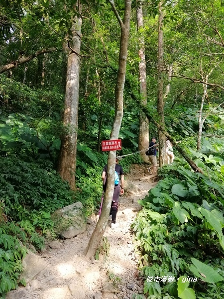 IMG_20191012_150627.jpg IMG_20191012_150627.jpg