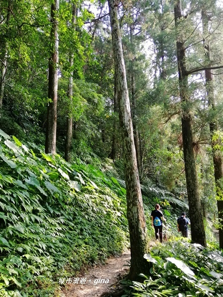 IMG_20191012_150054.jpg IMG_20191012_150054.jpg