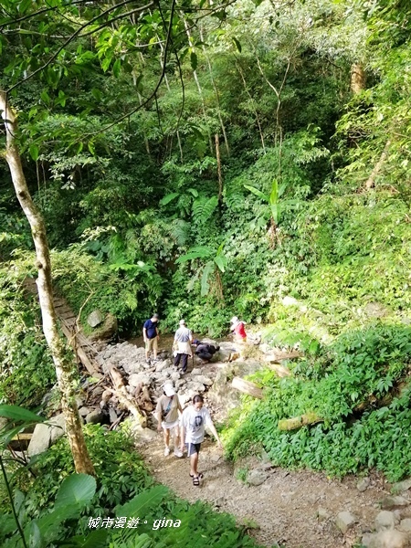 IMG_20191012_145947.jpg IMG_20191012_145947.jpg