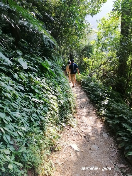 IMG_20191012_150157.jpg IMG_20191012_150157.jpg