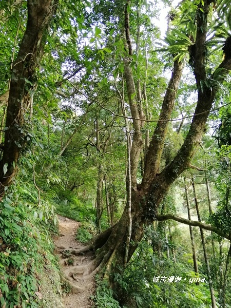 IMG_20191012_151441.jpg IMG_20191012_151441.jpg