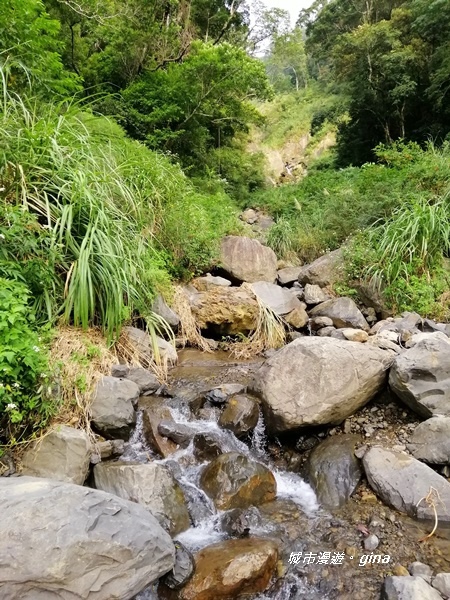 IMG_20191012_151949.jpg IMG_20191012_151949.jpg