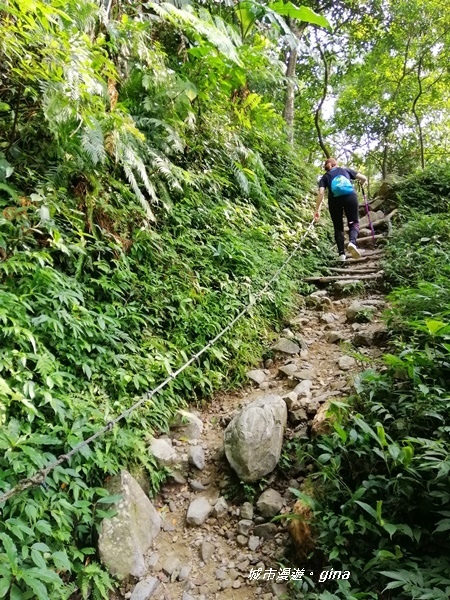 IMG_20191012_150515.jpg IMG_20191012_150515.jpg