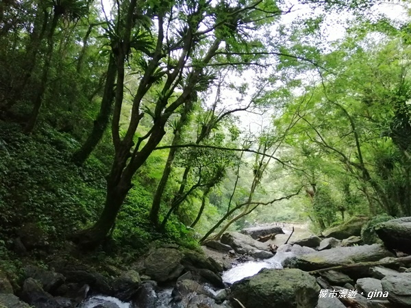 IMG_20191012_155724.jpg IMG_20191012_155724.jpg