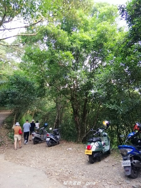 IMG_20191012_164820.jpg IMG_20191012_164820.jpg