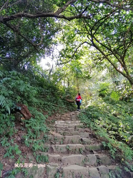 【桃園大溪】古樸山徑綠意盎然。 No23小百岳~溪洲山 57