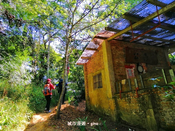 【桃園大溪】古樸山徑綠意盎然。 No23小百岳~溪洲山 57